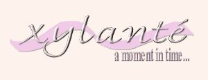 Xylante Banner